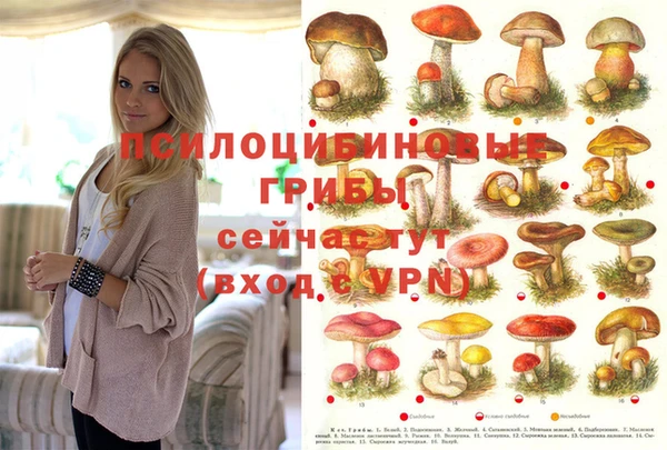 mdpv Абдулино