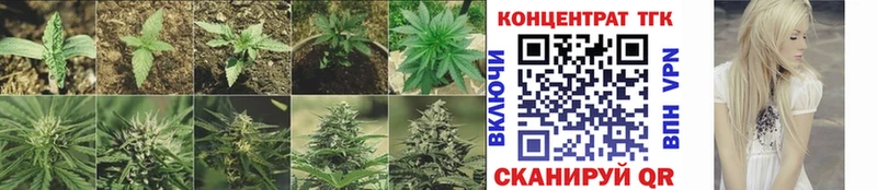 ТГК THC oil Ялта