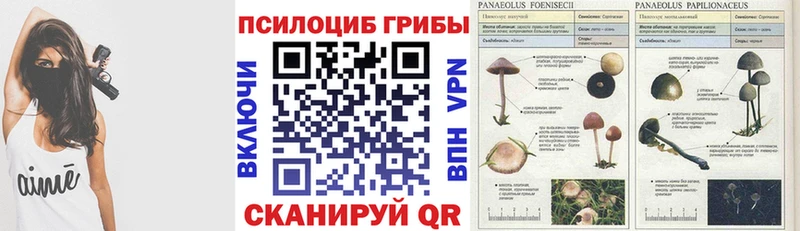 Галлюциногенные грибы GOLDEN TEACHER  Ялта 